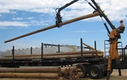 New Stationary Loader lifting a log